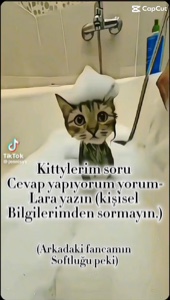 Soru cevap yapıyorum