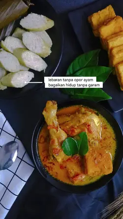 lebaran opor ayam
