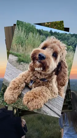2025 photos
