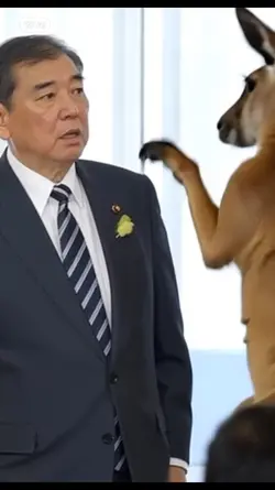 カンガルーボクシング