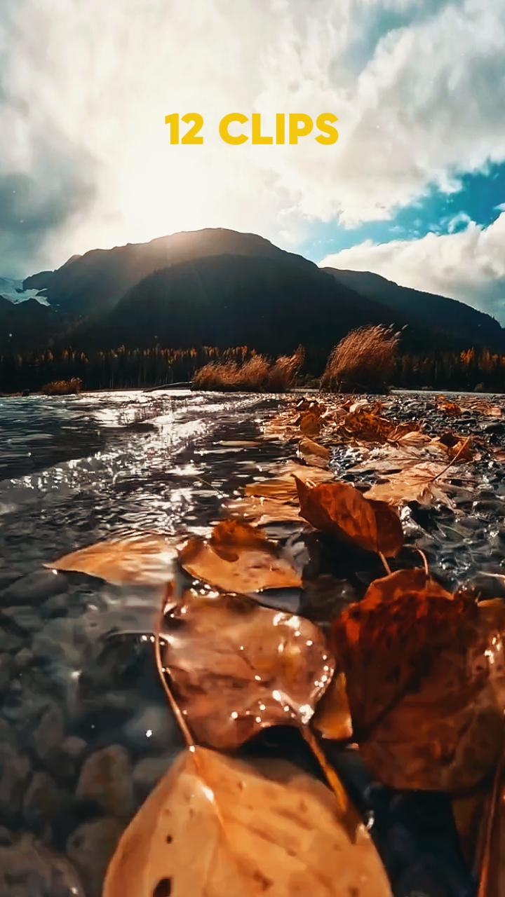 12 clips nature
