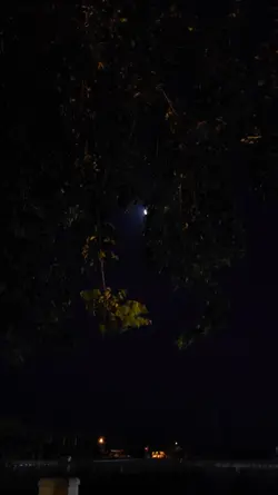 حبيب عيني حبيب احلام