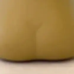 身バレリサイタル　📸1枚