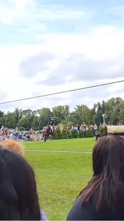 the jump is massivee