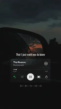 The Reason
