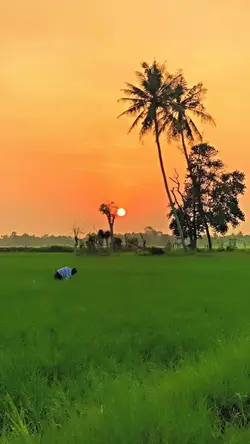 jatuh bangkit lagi