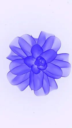 Purple Flower ver