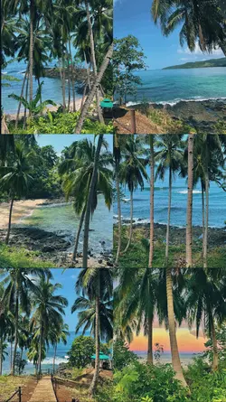 Nature therapy