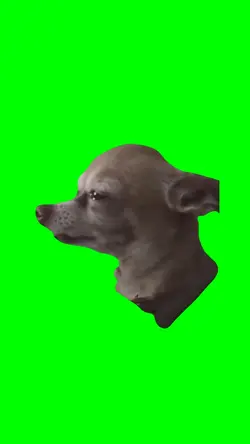SAD DOG
