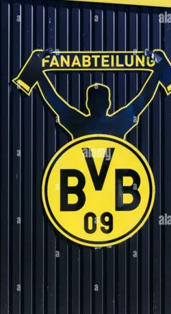 Bvb 
