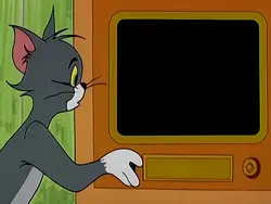 surpresa na tv 