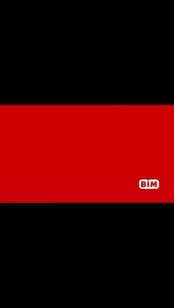 bim bim bim