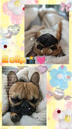 可愛い編集2画面/2clip