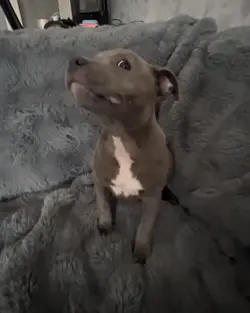 when he was tinyyy .