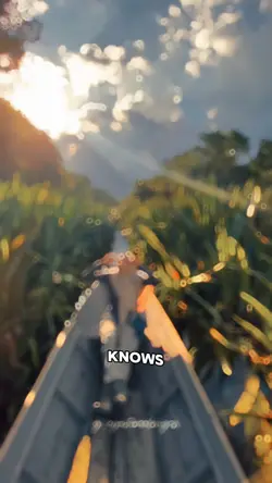 Sound + musik