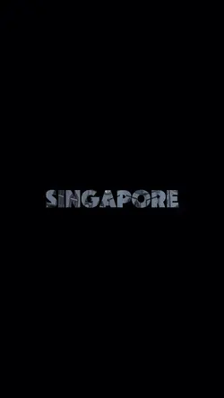 Singapore Dump 2024