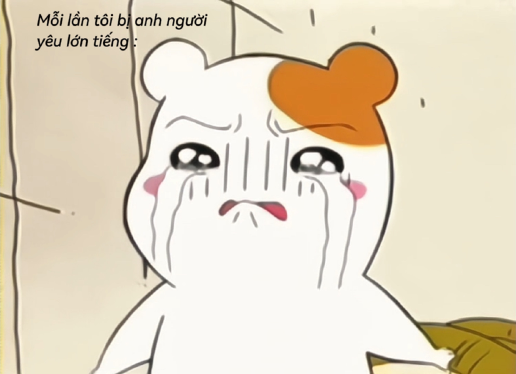 Bagikan video tik panas🌷