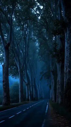 AESTHETIC TRAILER 
