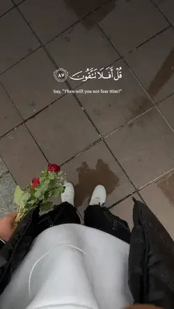 قران الكريم 