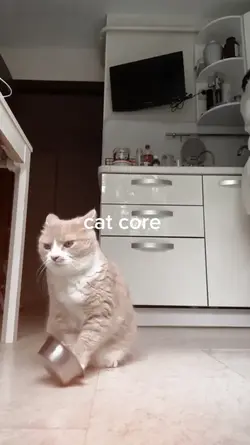 cat core