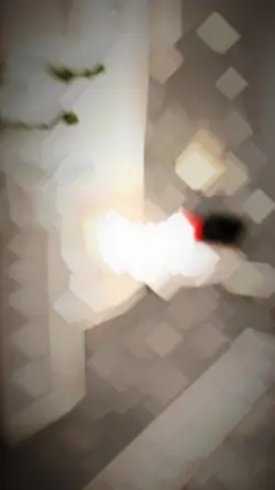 หมาป่าเดียวดาย