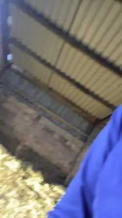 Why is slowmo pro 🔥