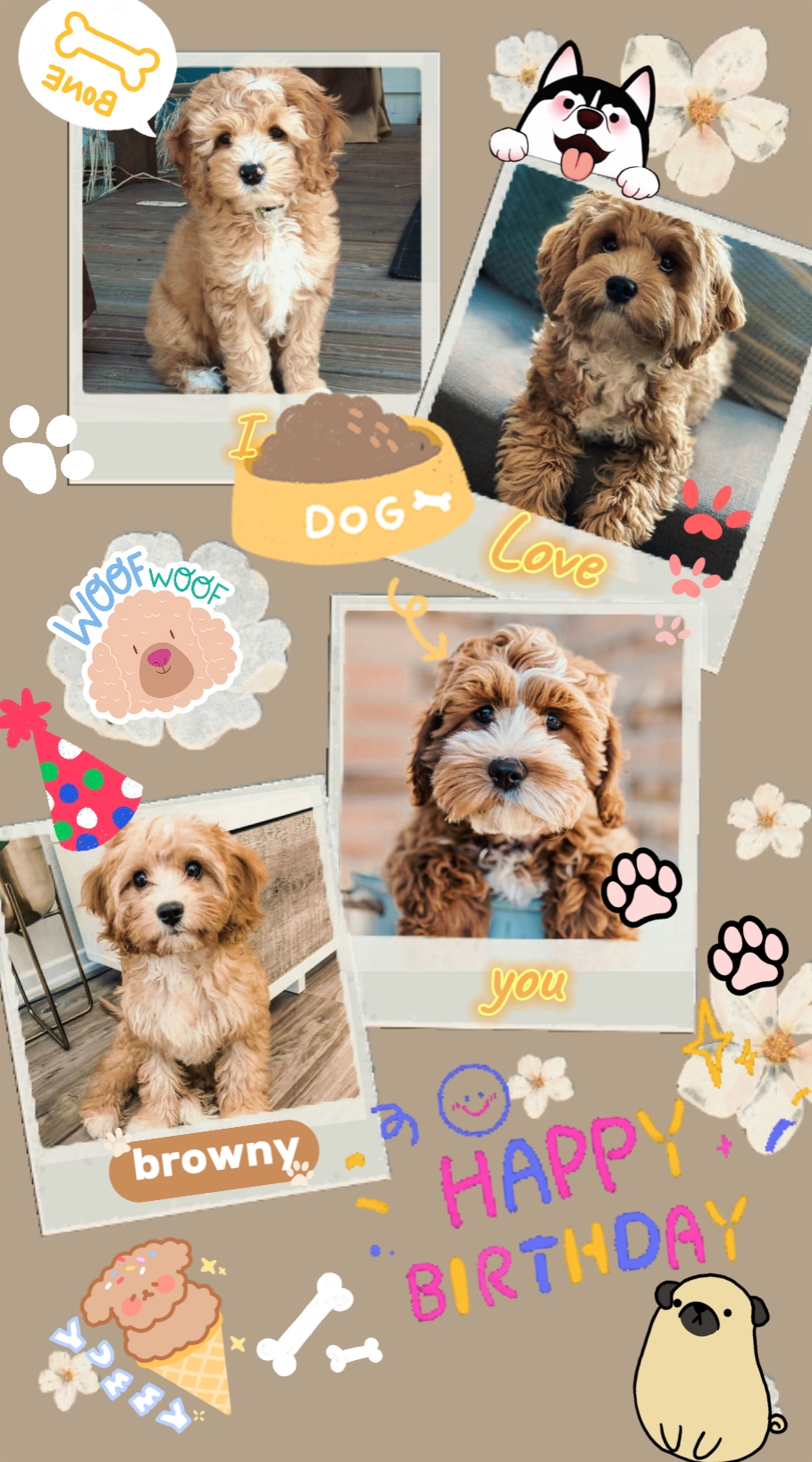 Aniversário dos meus animais de estimação