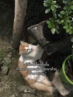 ไม่ให้อภัยใครทั้งนั้