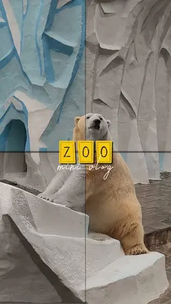 Zoo mini vlog