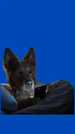 Perro en celular 