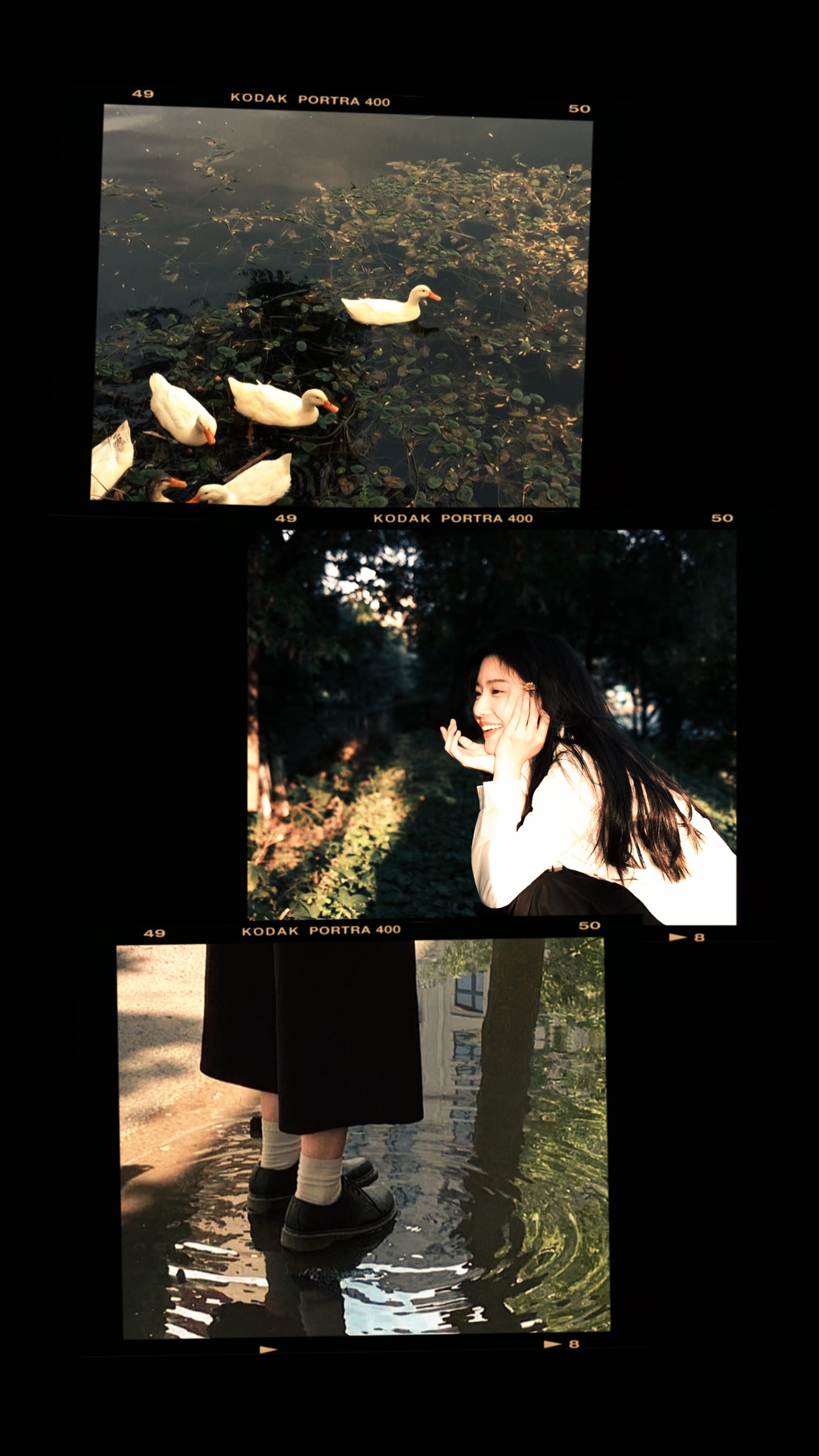 3 frame aesthetic 
