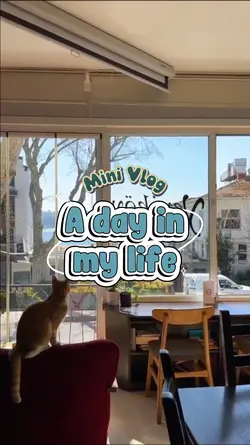 A day in my life