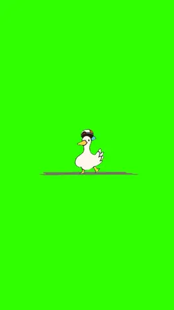 canard qui danse
