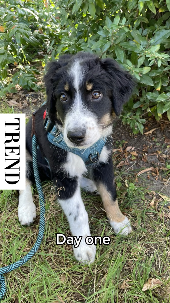 One day or day one 🤔