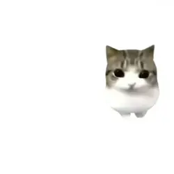 猫の評価の動画(?)