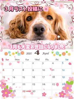 4月もよろしくお願いします/2025