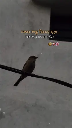 আমার কাছে 😊❤️‍🩹🫀।।