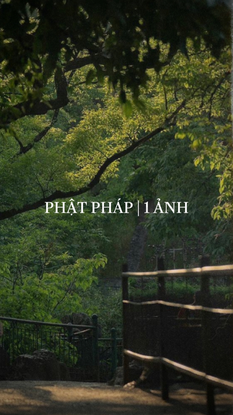 Phật Pháp 🪷