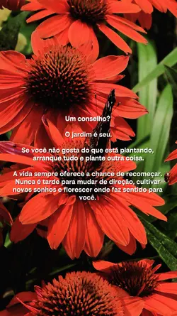 Recomeço 🔥 🌱