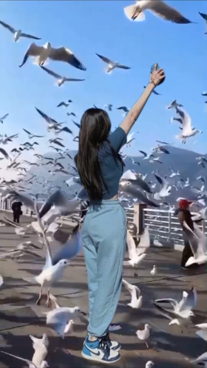 หาเป็นนกฉันจะโผบิน