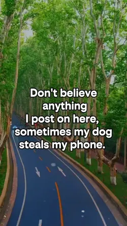 Don't believe anythi
