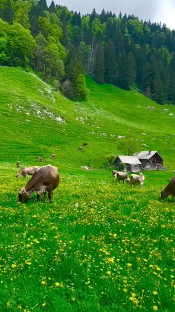 mountainous areas