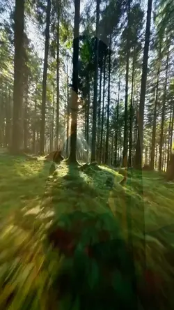 NATURE'S BEAUTY 