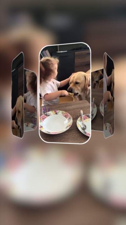 Perrito sentado
