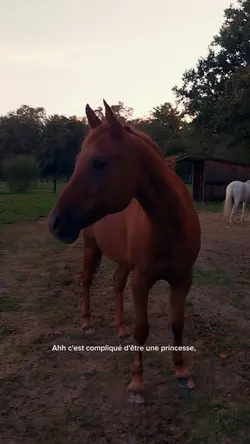 une princesse 