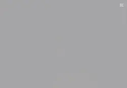 이슈가 원했던것