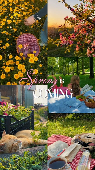 A primavera está chegando 