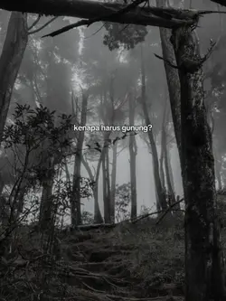 kenapa harus gunung?