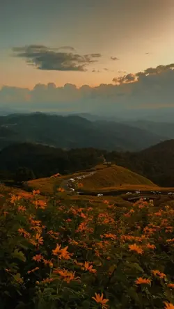 ทิวทัศน์ สโลว์