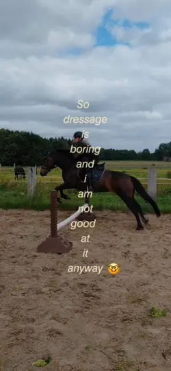  Dressage is boring